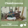 Chandraveena S Balachander - Raga Shankarabharanam - Raga Alapana